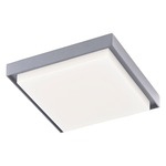 Ridge Outdoor Square Ceiling Light Fixture - Gray / Opal
