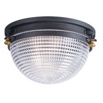 Portside Outdoor Ceiling Light Fixture - Oil Rubbed Bronze / Clear