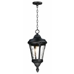 Sentry Outdoor Pendant - Black / Water Glass