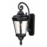 Sentry Outdoor Wall Light - Black / Water Glass