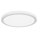 Extra Large Round Ceiling Light Fixture - White / Acrylic
