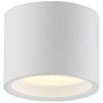 Reel Ceiling Light Fixture - White / Acrylic