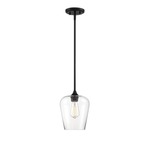 Octave Mini Pendant - Black / Clear