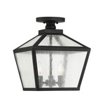 Woodstock Outdoor Ceiling Light Fixture Lantern - Black / Clear Seeded