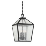 Woodstock Outdoor Pendant - Black / Clear Seeded