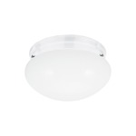 Webster Ceiling Light Fixture - White / Smooth White