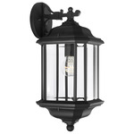 Kent Clear Outdoor Wall Light - Black / Clear