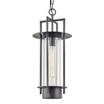 Carroll Park Outdoor Pendant - Bronze / Clear