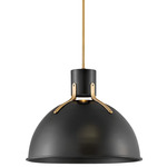 Argo Pendant - Heritage Brass / Satin Black