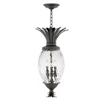 Pineapple 120V Outdoor Pendant - Museum Black / Clear Optic
