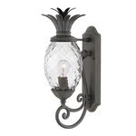 Pineapple 120V Outdoor Wall Sconce - Museum Black / Clear Optic