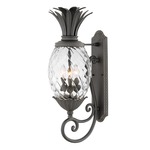 Pineapple 120V Outdoor Wall Sconce - Museum Black / Clear Optic