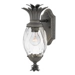 Pineapple 120V Outdoor Wall Sconce - Museum Black / Clear Optic