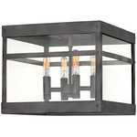 Porter Outdoor Ceiling Light - Aged Zinc / Clear