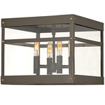 Porter Outdoor Ceiling Light - Oil Rubbed Bronze / Clear
