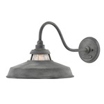 Troyer Outdoor Wall Light - Aged Zinc / Clear