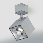 Dau Spot Wall / Ceiling Light - Brushed Aluminum