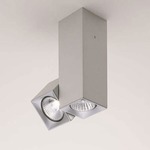 Dau Multi-Spot Ceiling Light Fixture - Brushed Aluminum