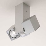 Dau Multi-Spot Ceiling Light Fixture - Brushed Aluminum
