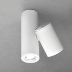 Kronn Dual Ceiling Spot Light - White
