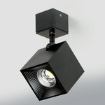 Dau Spot Wall / Ceiling Light - Black Satin Aluminum