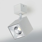 Dau Spot Wall / Ceiling Light - White