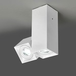 Dau Multi-Spot Ceiling Light Fixture - White