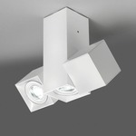 Dau Multi-Spot Ceiling Light Fixture - White