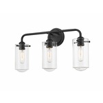 Delaney Bathroom Vanity Light - Matte Black / Clear