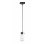 Delaney Mini Pendant - Matte Black / Clear