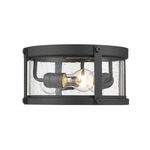 Roundhouse Outdoor Ceiling Light - Black / Clear Seedy