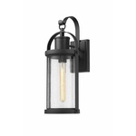 Roundhouse Outdoor Wall Light - Black / Clear Seedy