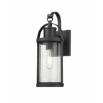 Roundhouse Outdoor Wall Light - Black / Clear Seedy