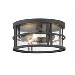 Jordan Outdoor Ceiling Light Fixture - Black / Clear Seedy