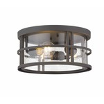 Jordan Outdoor Ceiling Light Fixture - Oil Rubbed Bronze / Clear Seedy