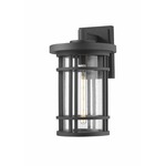 Jordan Outdoor Wall Sconce - Black / Clear Seedy