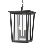 Seoul Outdoor Pendant - Black / Clear