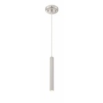 Forest Pendant - Brushed Nickel