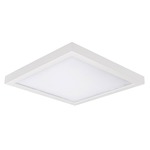Square 5 Outdoor Ceiling / Wall Light Fixture - White