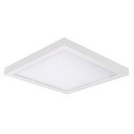 Square 5 Outdoor Ceiling / Wall Light Fixture - White
