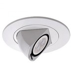 Low Voltage 4IN RD Premium Directional Spot Trim - White