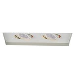 Low Voltage 2-Light Multiple Spot Invisible Trim - White