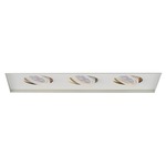 Low Voltage 3-Light Multiple Spot Invisible Trim - White