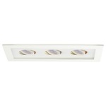 Low Voltage 3-Light Multiple Spot Invisible Trim - White