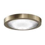 Spitfire LED Light Kit - Brushed Satin Brass / Clear