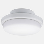 Fan Light Kit for TriAire Fan - Matte White / Opal