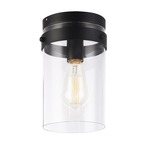 Zale Ceiling Light Fixture - Black / Clear