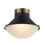 Notting Ceiling Light Fixture - Aged Gold Brass / Frosted