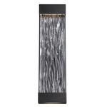 Fathom Outdoor Wall Light - Black / Clear