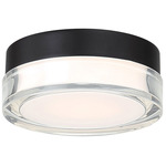 Pi 120V Outdoor Wall / Ceiling Light - Black / White